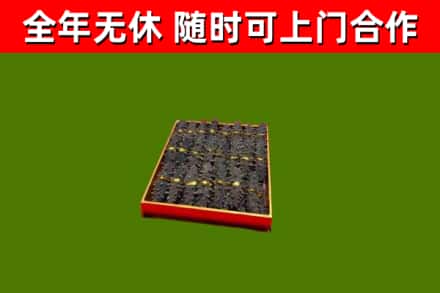 孝昌县回收海参